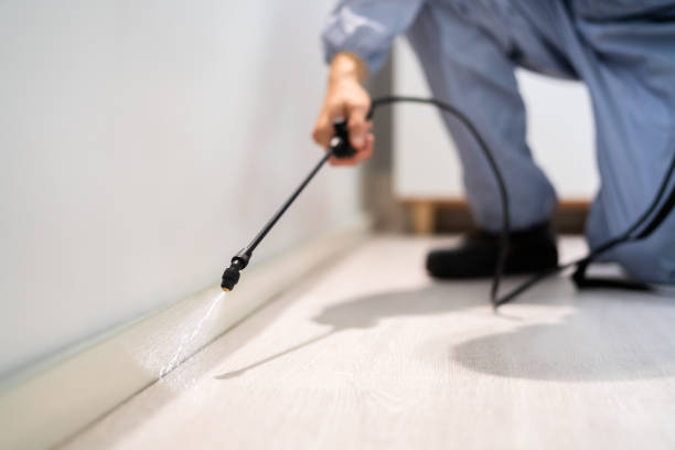 Licensed Termite Control service in Forestville, MD - Nex Pest Control