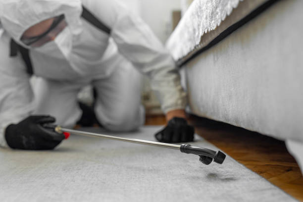 Professional Termite Control technician working in Forestville, MD
