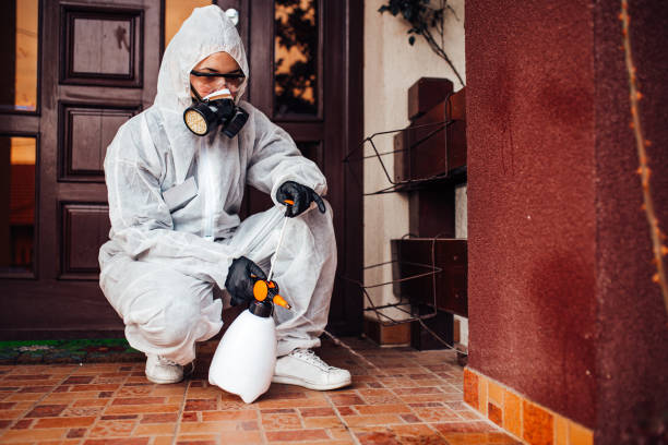 Reliable Termite Control contractor in Forestville, MD by Nex Pest Control
